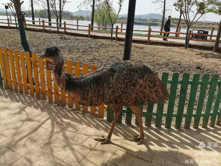 2021.3.22日武汉野生动物园